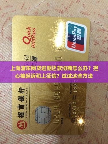 上海浦东网贷逾期还款协商怎么办？担心被起诉和上征信？试试这些方法