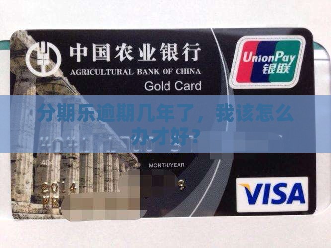 分期乐逾期几年了，我该怎么办才好？