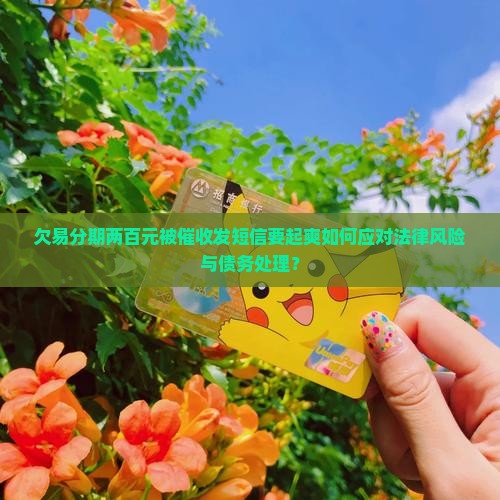 欠易分期两百元被催收发短信要起爽如何应对法律风险与债务处理？