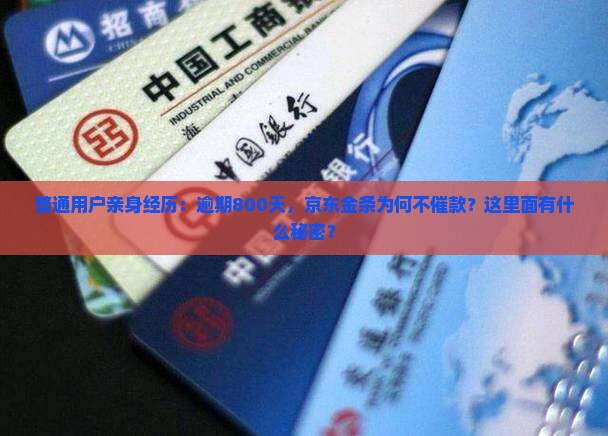 京东金条逾期800天无催款情况