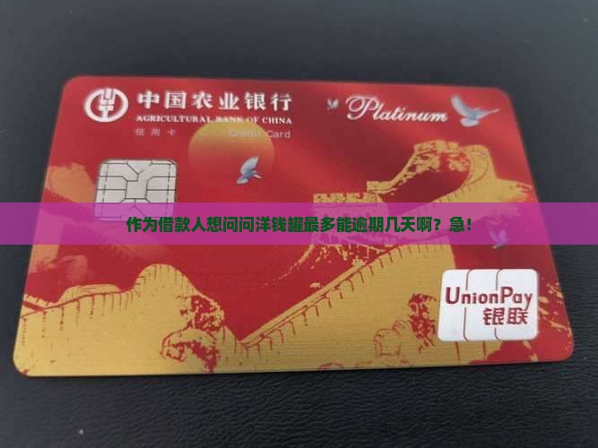 洋钱罐最多能逾期几天