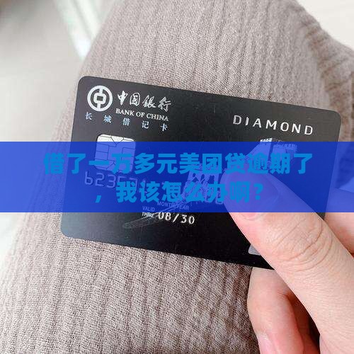 美团借钱一万多逾期怎么办