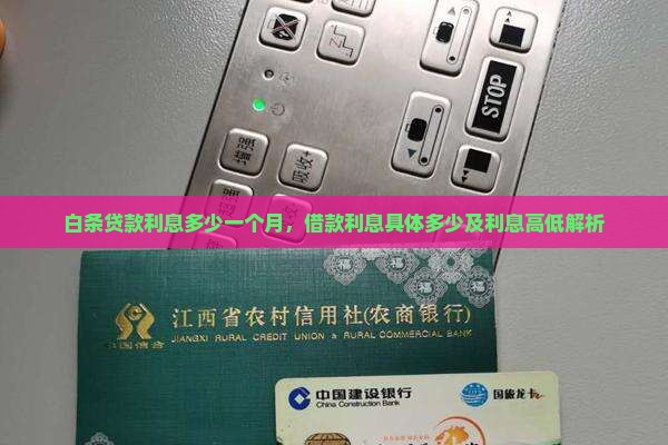 白条贷款利息多少