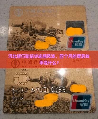 河北银行信贷逾期四个月