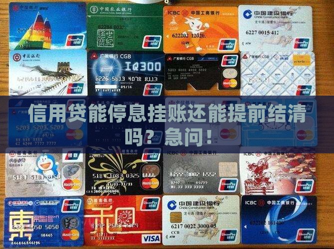 信用贷停息挂账可以提前结清吗