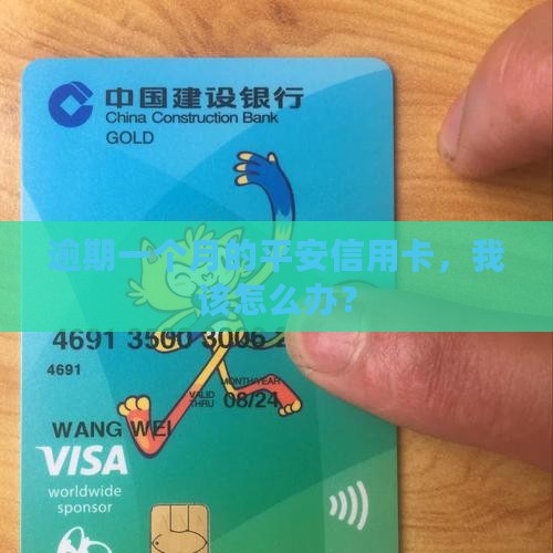 平安信用卡逾期一个月该如何处理