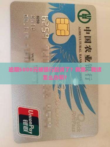中信银行逾期5000元被起诉应该如何处理