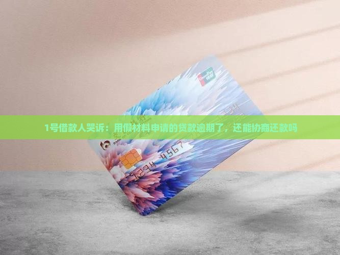 虚假材料贷款逾期可以协商还款吗