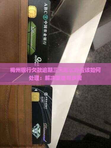 梅州银行欠款逾期三天怎么办应该如何处理