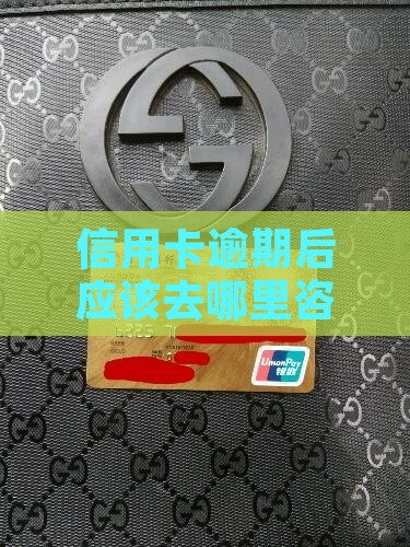 信用卡全面逾期后怎么办应该去哪里咨询