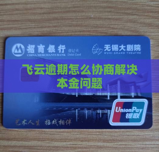达飞云贷协商还本金的解决方法