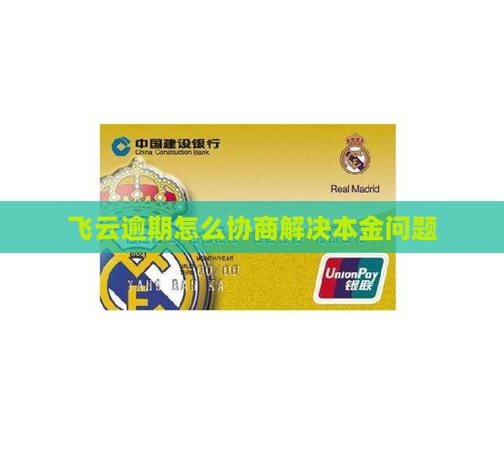 达飞云贷协商还本金的解决方法