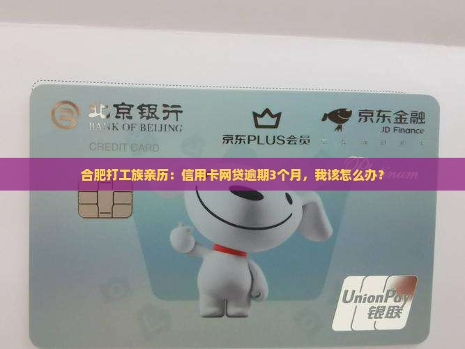 信用卡网贷逾期合肥