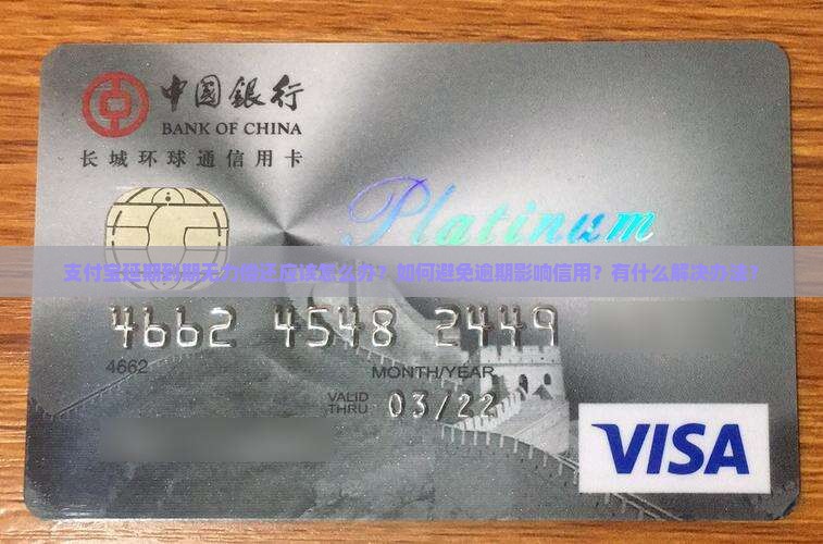 支付宝延期到期无力偿还应该怎么办