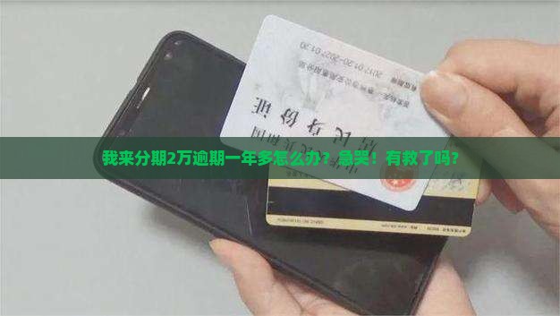 来分期两万逾期一年多如何解决