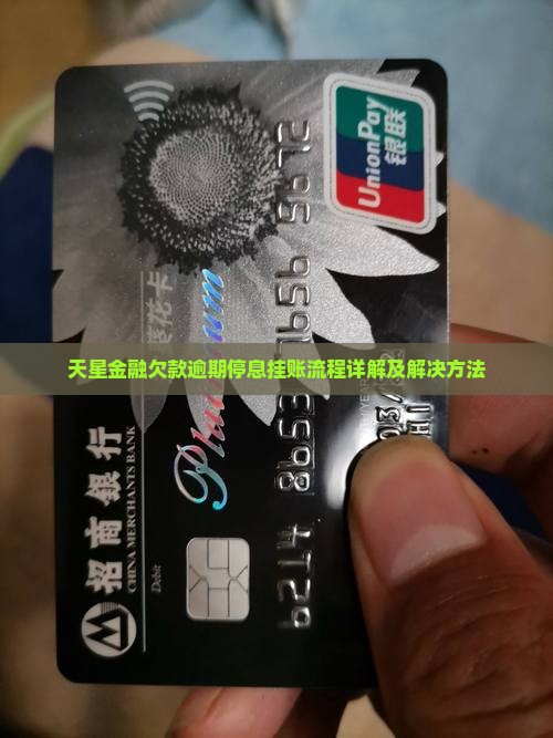 天星金融欠款逾期停息挂账流程详解