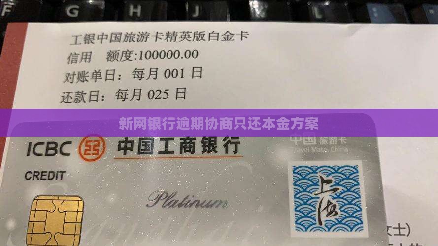 新网银行逾期只还本金怎么办