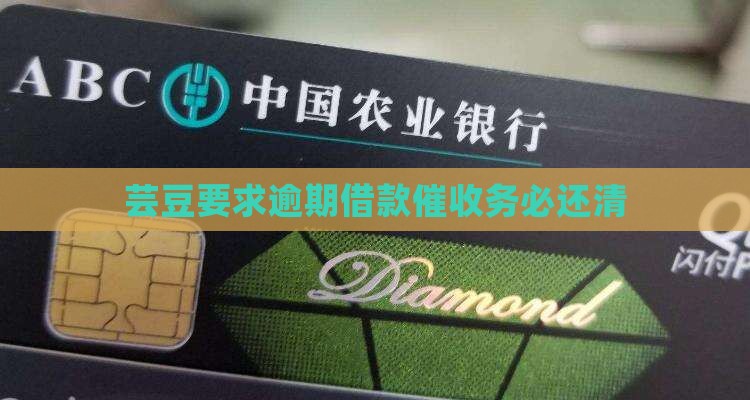 芸豆借款催收让还完