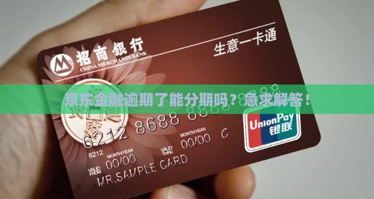 京东金融逾期可以分期吗怎么处理