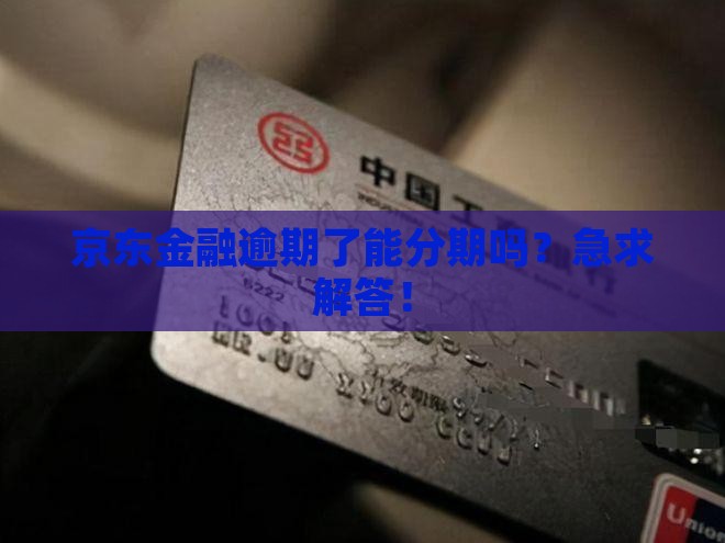 京东金融逾期可以分期吗怎么处理