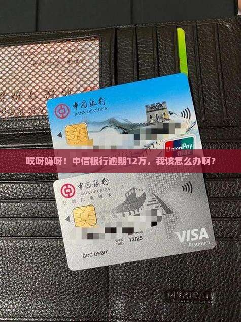 中信银行逾期12万如何处理