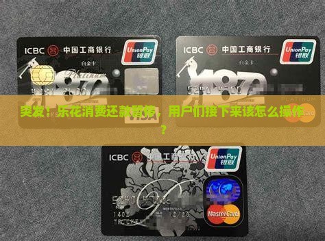 乐花消费暂缓还款怎么办