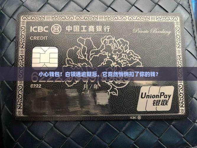 白领通逾期后自动扣款
