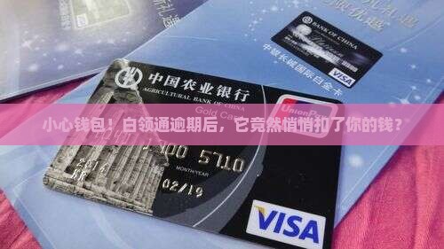 白领通逾期后自动扣款