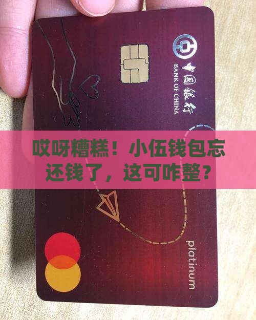 小伍钱包忘记还款怎么办