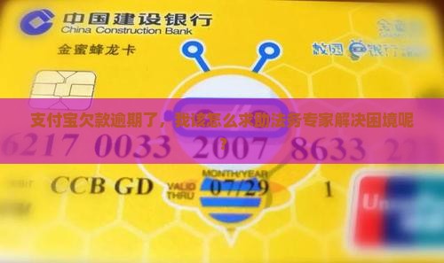 找法务处理支付宝逾期怎么办