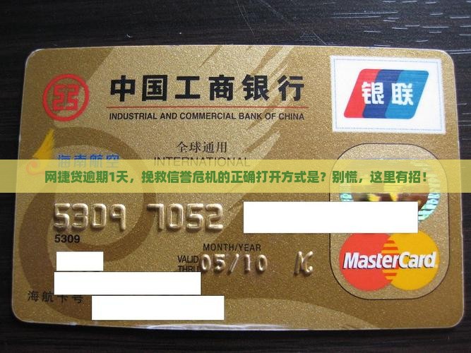 网捷贷逾期1天后的处理流程及注意事项