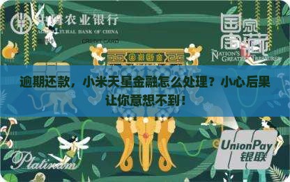 小米天星金融借款逾期会有什么后果