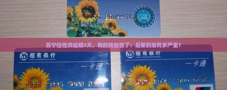 苏宁任性贷逾期3天后会发生什么