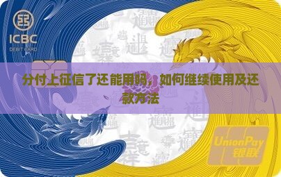 分付上征信了还能用吗怎么还款