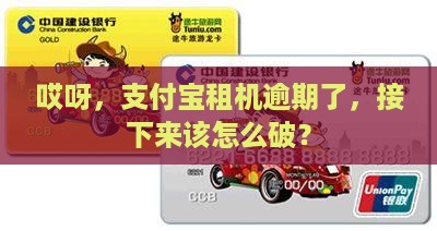 支付宝灵灵租机逾期了怎么办