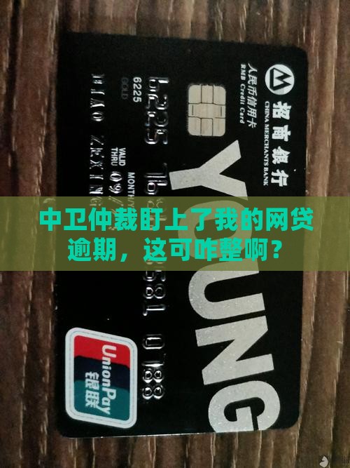 网贷逾期被中卫仲裁立案了如何处理