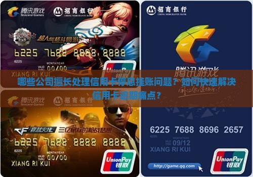 处理信用卡停息挂账的公司有哪些