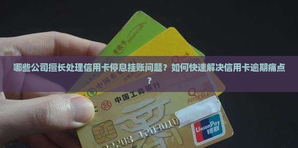 处理信用卡停息挂账的公司有哪些