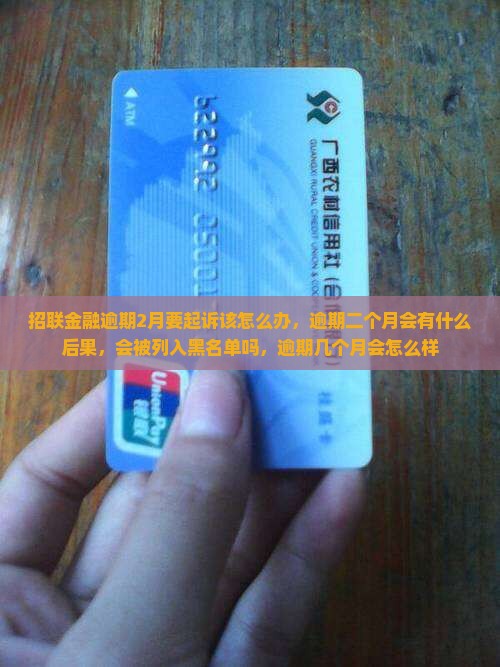 招联金融逾期2月要起诉该怎么办
