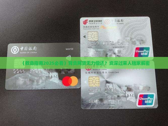 背负一身网贷无力偿还怎么办才好