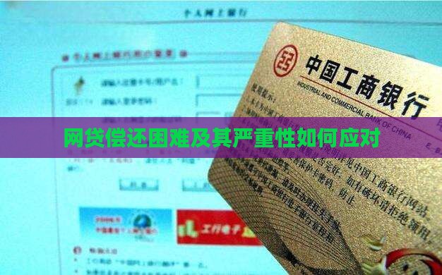 网贷还不起的严重性如何应对