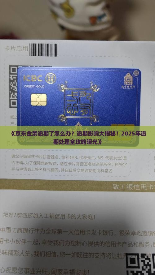 京东金条逾期情况处理建议