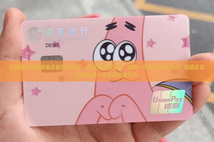 桂林银行逾期标准还款流程详解
