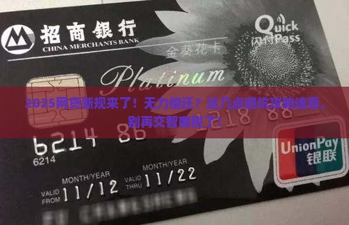 无力偿还网贷新规定第几条