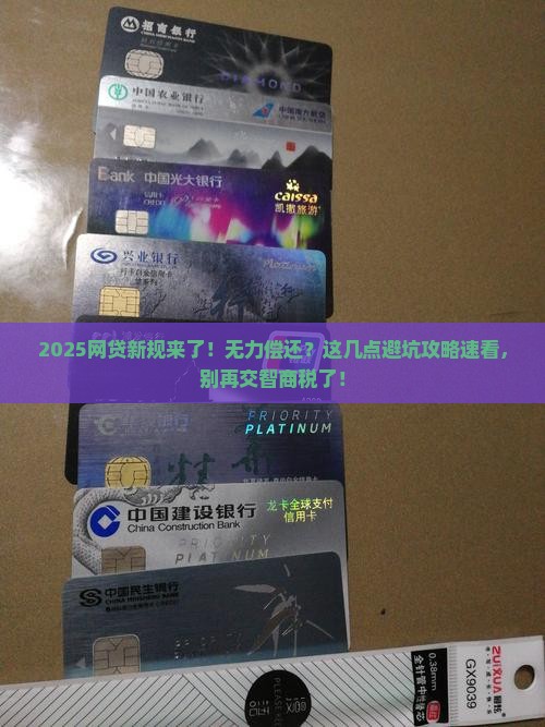 无力偿还网贷新规定第几条