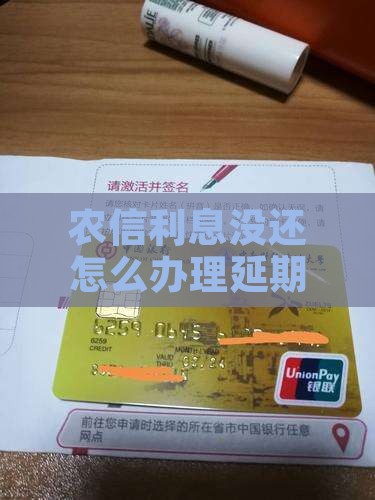 农信利息没还怎么办理延期还款