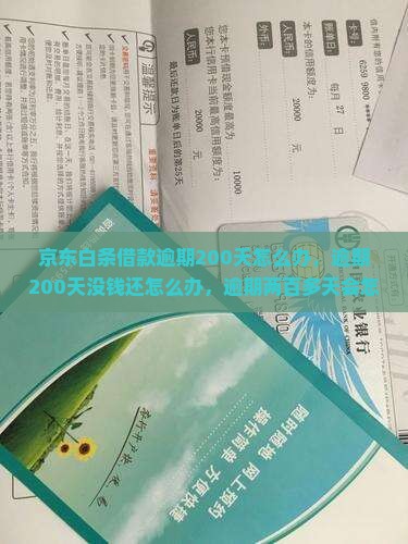 京东白条借款逾期200天怎么办