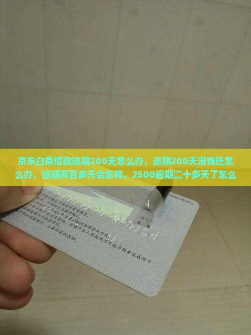 京东白条借款逾期200天怎么办