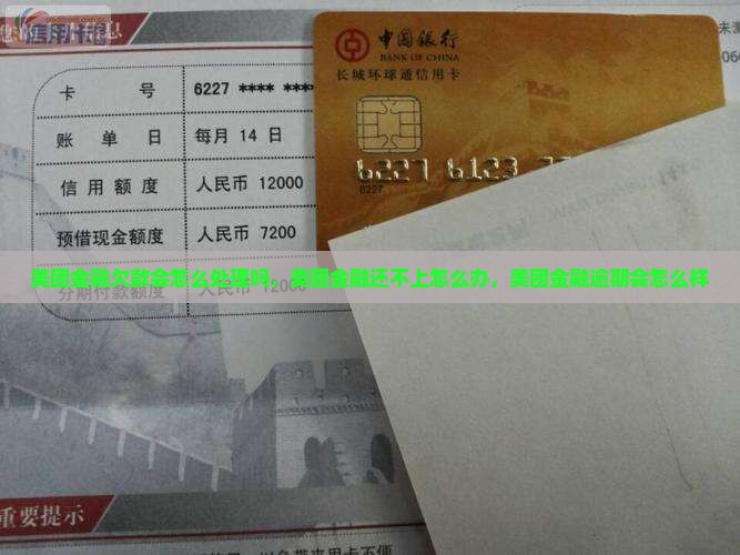 美团金融欠款会怎么处理