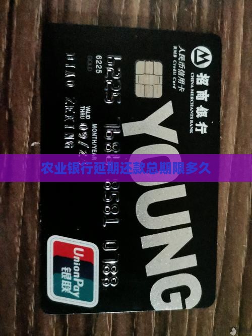 农业银行延期还款总期限多久